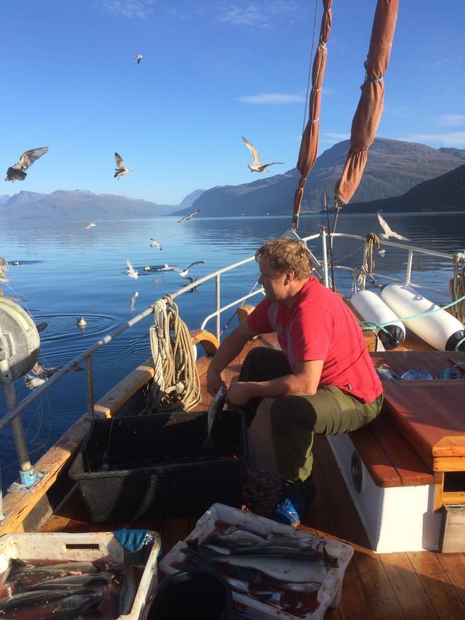 Отель Elvegard Fjordcamp Grov Экстерьер фото